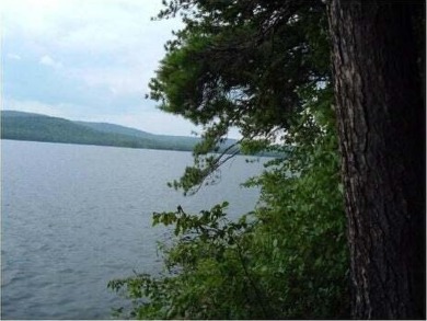 Looking for an exceptional location to build your lakefront on Belgrade Lakes Golf Club in Maine - for sale on GolfHomes.com, golf home, golf lot