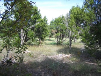 A great opportunity to purchase a wooded home site overlooking on The Retreat in Texas - for sale on GolfHomes.com, golf home, golf lot