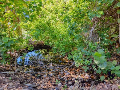 Rarely available land lot available for purchase in the seaside on Mauna Lani Resort Golf Course in Hawaii - for sale on GolfHomes.com, golf home, golf lot