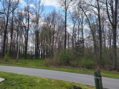 Three wooded lots near entrance of Northwood located across from on Foxs Den Golf Course in Ohio - for sale on GolfHomes.com, golf home, golf lot