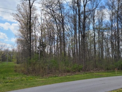 Two wooded lots near entrance of Northwood located across from on Foxs Den Golf Course in Ohio - for sale on GolfHomes.com, golf home, golf lot
