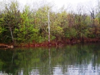 Nice level Crown Lake lot w/approx. 86' of lake frontage. Good on The Course At Turkey Mountain in Arkansas - for sale on GolfHomes.com, golf home, golf lot