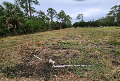 OWNER FINANCING AVAILABLE!! Large RV APPROVED parcel in the on Saint Josephs Bay Country Club in Florida - for sale on GolfHomes.com, golf home, golf lot