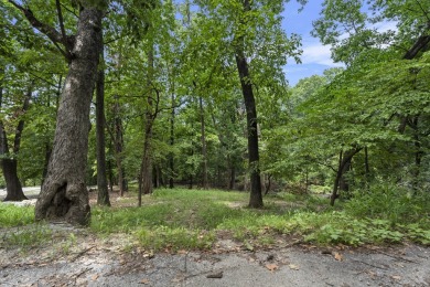Looking for the perfect place to build near Grand Lake? This 0 on The Coves Golf Course in Oklahoma - for sale on GolfHomes.com, golf home, golf lot