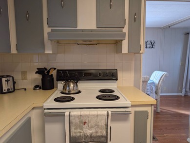 Before I forget to say it,  the GOLF CART comes with the home! on Grasslands Golf and Country Club in Florida - for sale on GolfHomes.com, golf home, golf lot