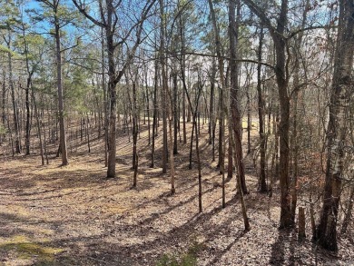 This is a great building lot on the Second fairway on Diamante' on Diamante Golf and Country Club in Arkansas - for sale on GolfHomes.com, golf home, golf lot