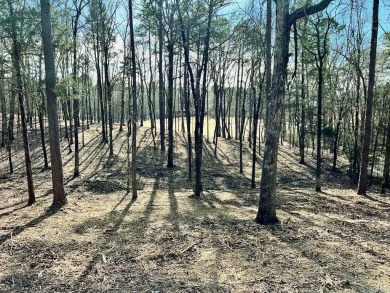This is a great building lot on the Second fairway on Diamante' on Diamante Golf and Country Club in Arkansas - for sale on GolfHomes.com, golf home, golf lot