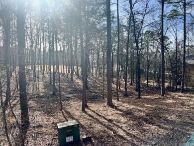 This is a great building lot on the Second fairway on Diamante' on Diamante Golf and Country Club in Arkansas - for sale on GolfHomes.com, golf home, golf lot