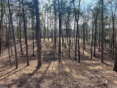 This is a great building lot on the Second fairway on Diamante' on Diamante Golf and Country Club in Arkansas - for sale on GolfHomes.com, golf home, golf lot