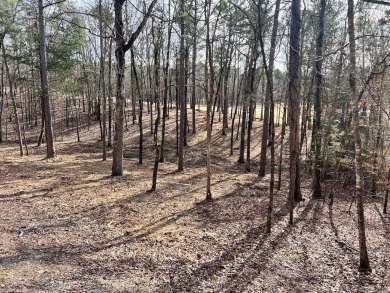 This is a great building lot on the Second fairway on Diamante' on Diamante Golf and Country Club in Arkansas - for sale on GolfHomes.com, golf home, golf lot