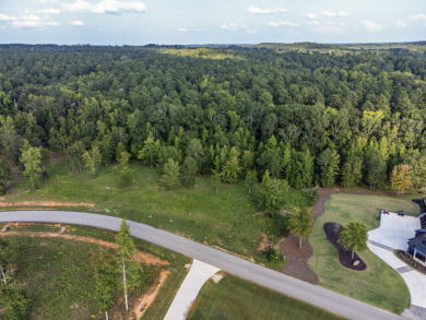 **Luxurious Lakeside Living: Bayside at Lake Oconee Lot for Sale* on Reynolds Lake Oconee - The Landing in Georgia - for sale on GolfHomes.com, golf home, golf lot