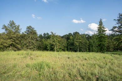 **Luxurious Lakeside Living: Bayside at Lake Oconee Lot for Sale* on Reynolds Lake Oconee - The Landing in Georgia - for sale on GolfHomes.com, golf home, golf lot