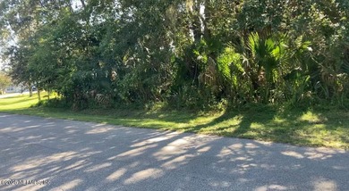 Build your dream home on this spacious .37-acre vacant lot on Palm Harbor Golf Club in Florida - for sale on GolfHomes.com, golf home, golf lot