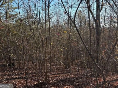 Experience the beauty of this picturesque 1.33-acre lot with on Chatuge Shores Golf Course in North Carolina - for sale on GolfHomes.com, golf home, golf lot