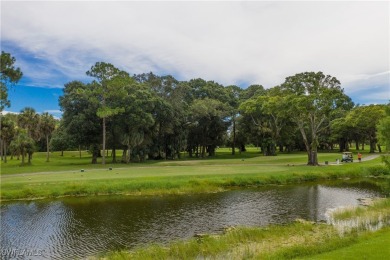 Golfing anyone? Fabulous oversized lot with a gorgeous water on Burnt Store Golf Club in Florida - for sale on GolfHomes.com, golf home, golf lot