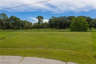 Golfing anyone? Fabulous oversized lot with a gorgeous water on Burnt Store Golf Club in Florida - for sale on GolfHomes.com, golf home, golf lot