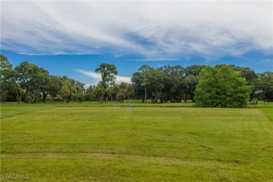 Golfing anyone? Fabulous oversized lot with a gorgeous water on Burnt Store Golf Club in Florida - for sale on GolfHomes.com, golf home, golf lot