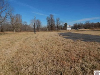 Unrestricted acreage for sale minutes from a public boat ramp on Mineral Mound Golf Course in Kentucky - for sale on GolfHomes.com, golf home, golf lot