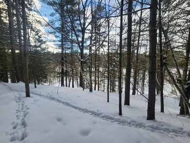 Exceptional lot in sought-after Timber Ridge Golf Course on Timber Ridge Golf Club in Wisconsin - for sale on GolfHomes.com, golf home, golf lot