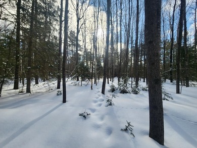 Exceptional lot in sought-after Timber Ridge Golf Course on Timber Ridge Golf Club in Wisconsin - for sale on GolfHomes.com, golf home, golf lot