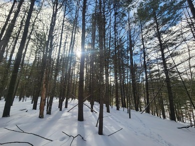Exceptional lot in sought-after Timber Ridge Golf Course on Timber Ridge Golf Club in Wisconsin - for sale on GolfHomes.com, golf home, golf lot