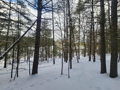 Exceptional lot in sought-after Timber Ridge Golf Course on Timber Ridge Golf Club in Wisconsin - for sale on GolfHomes.com, golf home, golf lot