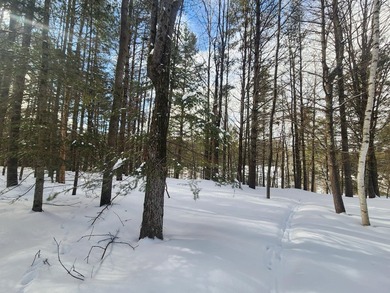 Exceptional lot in sought-after Timber Ridge Golf Course on Timber Ridge Golf Club in Wisconsin - for sale on GolfHomes.com, golf home, golf lot