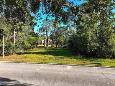 Ready to build your dream home? You have the perfect lot in on Harmony Golf Preserve in Florida - for sale on GolfHomes.com, golf home, golf lot