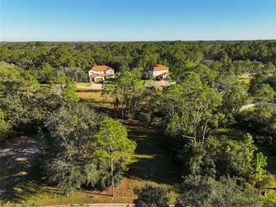 Ready to build your dream home? You have the perfect lot in on Harmony Golf Preserve in Florida - for sale on GolfHomes.com, golf home, golf lot