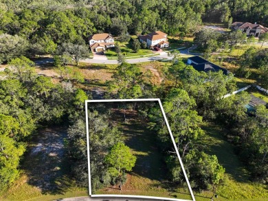 Ready to build your dream home? You have the perfect lot in on Harmony Golf Preserve in Florida - for sale on GolfHomes.com, golf home, golf lot