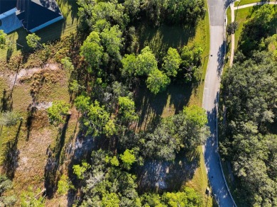 Ready to build your dream home? You have the perfect lot in on Harmony Golf Preserve in Florida - for sale on GolfHomes.com, golf home, golf lot