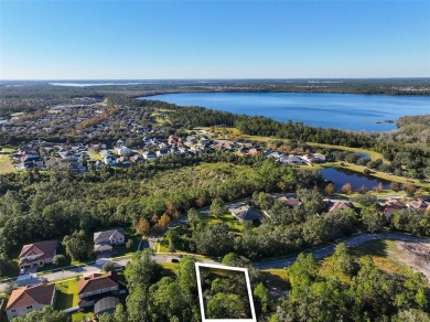 Ready to build your dream home? You have the perfect lot in on Harmony Golf Preserve in Florida - for sale on GolfHomes.com, golf home, golf lot