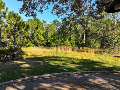 Want to build a DREAM HOME? Don't miss out on this vacant land on Harmony Golf Preserve in Florida - for sale on GolfHomes.com, golf home, golf lot