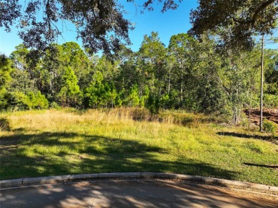 Want to build a DREAM HOME? Don't miss out on this vacant land on Harmony Golf Preserve in Florida - for sale on GolfHomes.com, golf home, golf lot