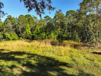 Want to build a DREAM HOME? Don't miss out on this vacant land on Harmony Golf Preserve in Florida - for sale on GolfHomes.com, golf home, golf lot