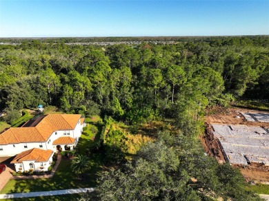 Want to build a DREAM HOME? Don't miss out on this vacant land on Harmony Golf Preserve in Florida - for sale on GolfHomes.com, golf home, golf lot