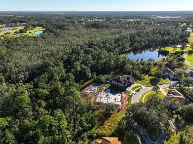 Want to build a DREAM HOME? Don't miss out on this vacant land on Harmony Golf Preserve in Florida - for sale on GolfHomes.com, golf home, golf lot