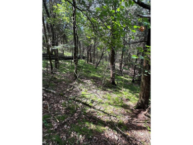 Looking for that perfect lot to build your dream home or your on Holiday Island Executive Golf Course in Arkansas - for sale on GolfHomes.com, golf home, golf lot