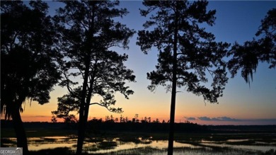 Welcome to this impeccably maintained 4-bed, 3-bath home w/ on Sapelo Hammock Golf Club in Georgia - for sale on GolfHomes.com, golf home, golf lot