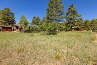 Alysha Ranson, Galles Properties, C: , alysha,  : Looking for a on Pagosa Springs Golf Club in Colorado - for sale on GolfHomes.com, golf home, golf lot