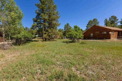 Alysha Ranson, Galles Properties, C: , alysha,  : Looking for a on Pagosa Springs Golf Club in Colorado - for sale on GolfHomes.com, golf home, golf lot