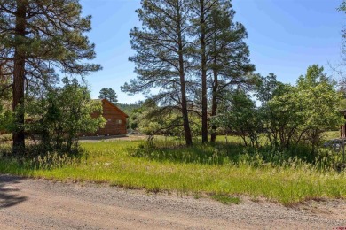 Alysha Ranson, Galles Properties, C: , alysha,  : Looking for a on Pagosa Springs Golf Club in Colorado - for sale on GolfHomes.com, golf home, golf lot