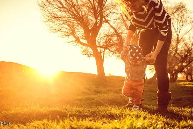 Welcome to 2208 Warbler Drive at Horton Park, located in Apex on Knights Play Golf Center in North Carolina - for sale on GolfHomes.com, golf home, golf lot