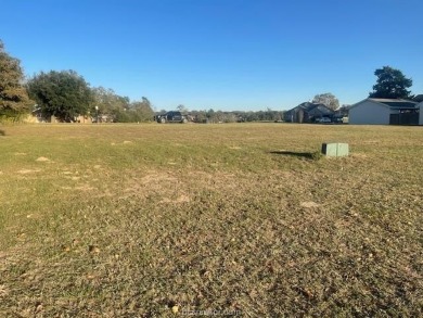 Golf coarse lot {actually 3 lots} with 140' of paved road on Hilltop Lakes Resort Golf Club in Texas - for sale on GolfHomes.com, golf home, golf lot