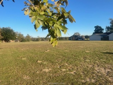 Golf coarse lot {actually 3 lots} with 140' of paved road on Hilltop Lakes Resort Golf Club in Texas - for sale on GolfHomes.com, golf home, golf lot