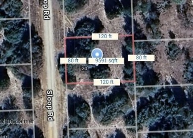THIS IS THE VERY BEST COUNTY CLUB IN TEXAS for the money. Let me on Hilltop Lakes Resort Golf Club in Texas - for sale on GolfHomes.com, golf home, golf lot