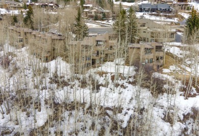 Charming 2-bedroom, 3-bathroom condo offers the perfect blend of on Eagle Vail Golf Course in Colorado - for sale on GolfHomes.com, golf home, golf lot