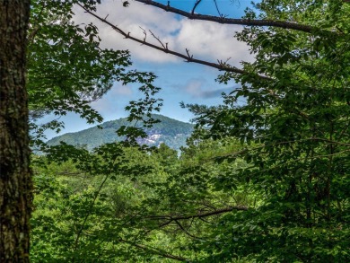 Nestled between holes 11 and 12 of Lake Toxaway Country Club's on Lake Toxaway Country Club in North Carolina - for sale on GolfHomes.com, golf home, golf lot
