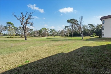 Step inside this beautifully designed 2-bedroom, 2 - bathroom on Sugarmill Woods Golf and Country Club in Florida - for sale on GolfHomes.com, golf home, golf lot
