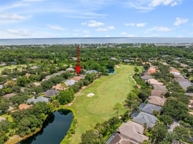 Stunning Golf Course Pool Home in Grand Haven

Welcome to this on Grand Haven Golf Club in Florida - for sale on GolfHomes.com, golf home, golf lot